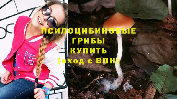 эйфоретик Абинск