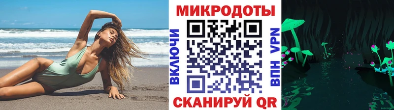 Псилоцибиновые грибы Psilocybe  Адыгейск 